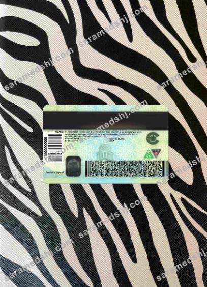 USA Colorado driving license version 2 photolook BACK